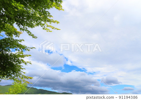 雲，藍天，樹木 91194386