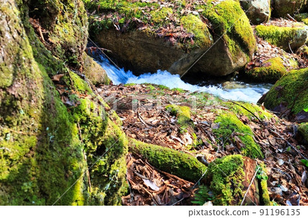 Mossy rocks and a beautiful stream of pure murmuring Mossy rocks and a beautiful stream of pure murmuring 91196135