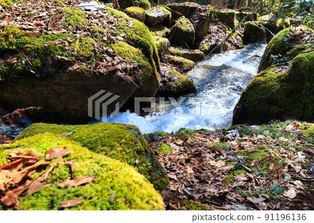 Mossy rocks and a beautiful stream of pure murmuring Mossy rocks and a beautiful stream of pure murmuring 91196136