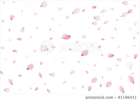 Cherry petals backdrop. Sakura petals background. Cherry petals backdrop. Sakura petals background. 91196431