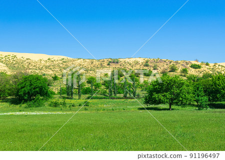 green flowering valley with a large sand dune in the background green flowering valley with a large sand dune in the background 91196497