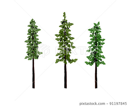 redwood tree vector collections redwood tree vector collections 91197845