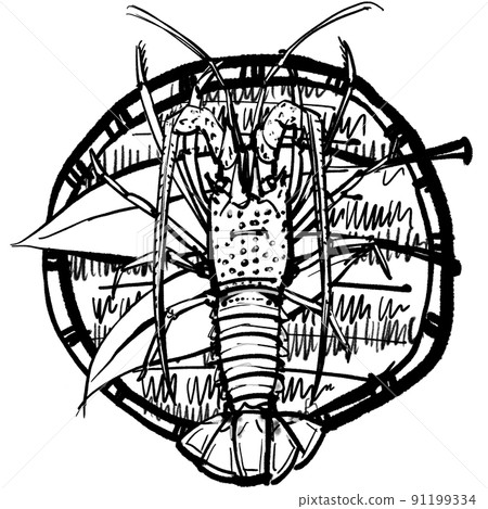 “伊勢龍蝦（Ise lobster）”的手寫插圖（刷洗畫風） 91199334
