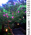 夏日天鵝園風月花鳥彩美石階 91203833