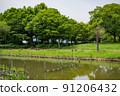 在公園池塘 91206432
