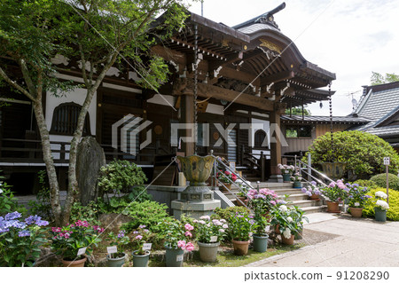 繡球花季的二本松本堂[茨城縣板子市] 91208290