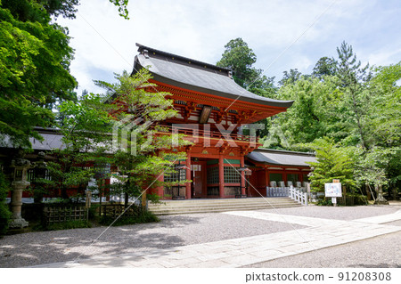 Sakuramon is said to be the symbol of Katori-gun Shrine, one of the three Togoku companies. Sakuramon is said to be the symbol of Katori-gun Shrine, one of the three Togoku companies. 91208308