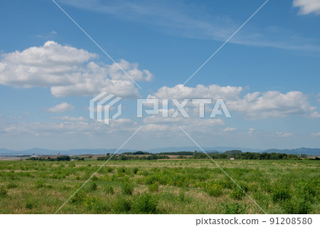 綠色的草地和山脈 91208580