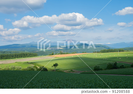 Summer upland field and mountain range Daisetsuzan 91208588