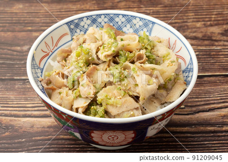 豬肉洋蔥咸飯碗 豬肉洋蔥咸飯碗 91209045