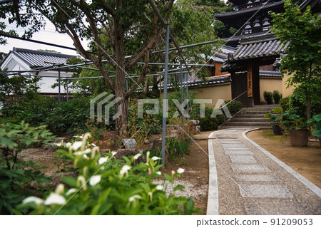 Taimadera Seinan-in Temple_入口寺廟門 91209053