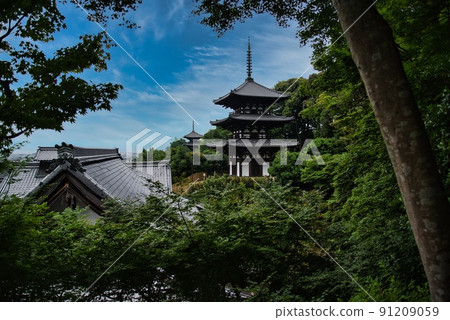 Taimadera Seinan-in Temple_三層塔和藍天 91209059