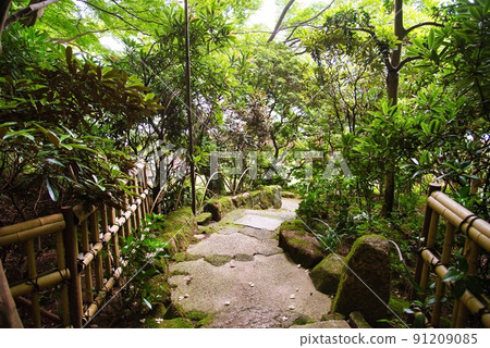 Taima-dera Temple Nakanobo_Kogeen Garden中的兩棵樹 Taima-dera Temple Nakanobo_Kogeen Garden中的兩棵樹 91209085