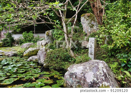 Taimadera Nakanobo_Kogakuen Shinji Pond Taimadera Nakanobo_Kogakuen Shinji Pond 91209120