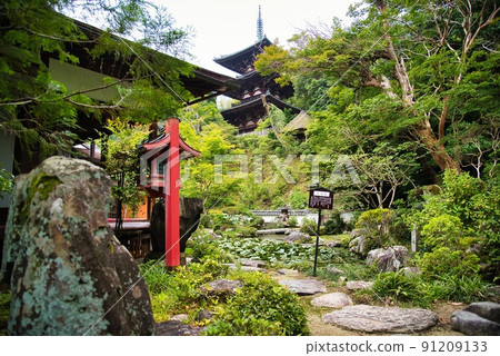 Taima-dera Nakanobo 91209133