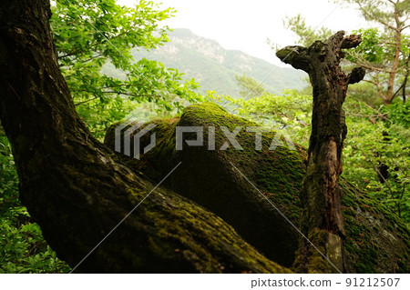 北漢山、國立公園、三嶽山、寶賢峰、甲骨岩、大城門、堡路 91212507
