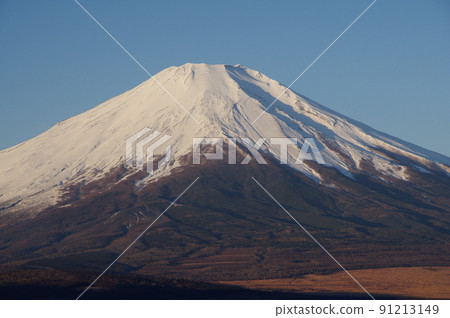 從山中湖全景看台看黎明時分的富士山 91213149