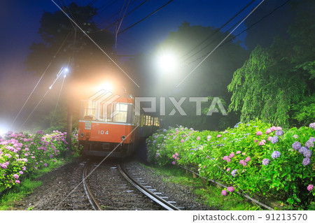 箱根登山電車_繡球花燈絕景 91213570