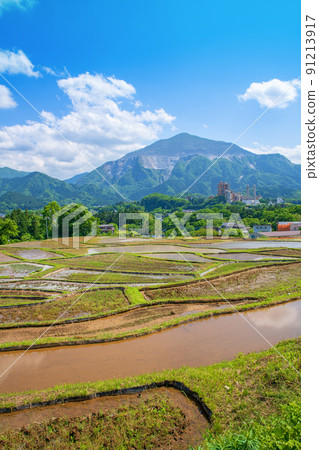 寺坂梯田和武子山水稻種植季節 新鮮的綠色風景 91213917