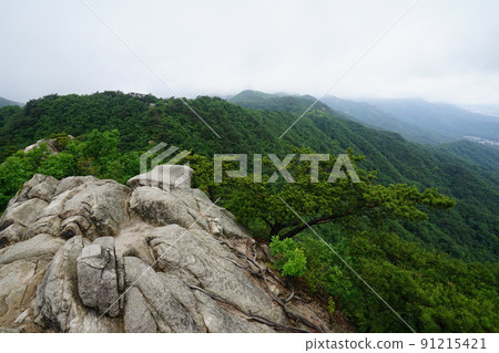 北漢山、國立公園、寶賢峰、三角山、甲骨岩、霧 北漢山、國立公園、寶賢峰、三角山、甲骨岩、霧 91215421