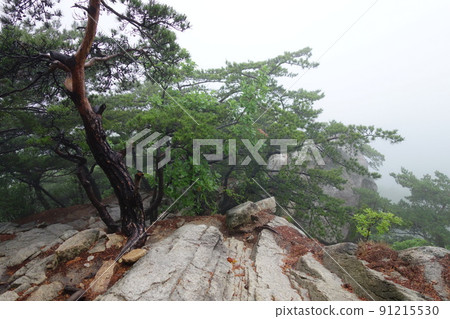 Bukhansan. National Park. Josbawi. Munpilbong. Fog Bukhansan. National Park. Josbawi. Munpilbong. Fog 91215530