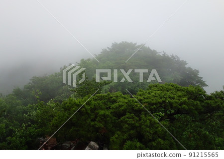 Bukhansan. National Park. Josbawi. Munpilbong. Fog Bukhansan. National Park. Josbawi. Munpilbong. Fog 91215565