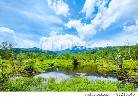 初夏的乘鞍高原（Osome池塘和乘鞍山） 91216140