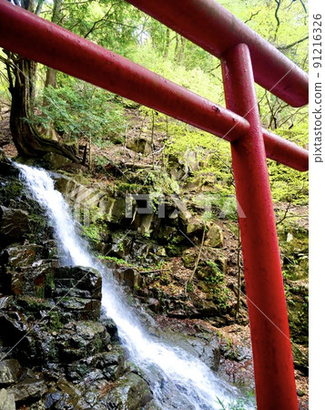 瀑布和鳥居在森林裡 瀑布和鳥居在森林裡 91216326
