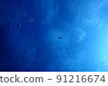 I went diving to Miyakojima, Okinawa 91216674
