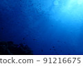 I went diving to Miyakojima, Okinawa 91216675