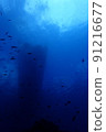 I went diving to Miyakojima, Okinawa 91216677