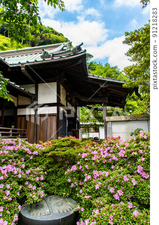Anyoin, Kamakura City, Kanagawa Prefecture-Main hall with azaleas and Buddha footprints- 91218283