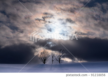 《Hokkaido》 Parent and child tree, Biei in winter 《Hokkaido》 Parent and child tree, Biei in winter 91218856