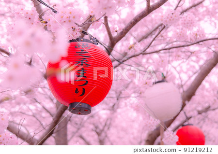 香川縣水豐市埼田町戶田水壩公園的櫻花 91219212