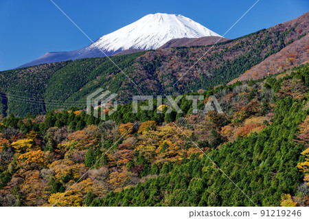 從三國峠附近看到的富士山和紅葉群山 91219246