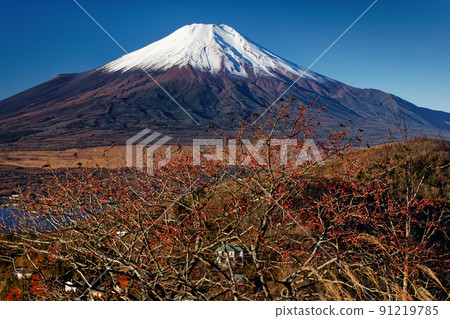 深秋從山中湖和平尾山看到的富士山 91219785
