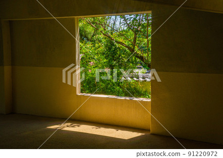 Fresh green seen through a hole in the wall 91220972