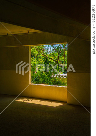 通過牆上的一個洞看到新鮮的綠色 91220973