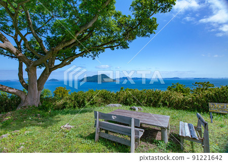 Shishijima, a mysterious small island with a 1200-year-old giant tree 91221642