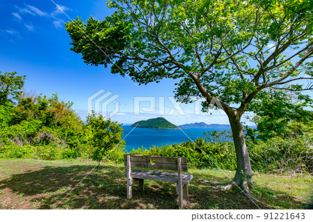 Shishijima, a mysterious small island with a 1200-year-old giant tree Shishijima, a mysterious small island with a 1200-year-old giant tree 91221643