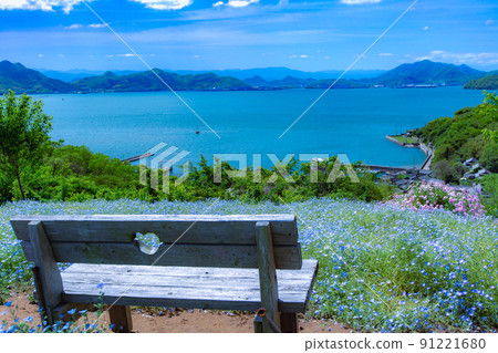 擁有1200年樹齡的巨樹的神秘小島石島島 91221680