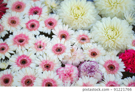 Chinese water 91221766