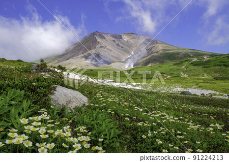Asahi-dake in summer 91224213