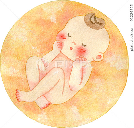 Image illustration of the fetus Image illustration of the fetus 91224825