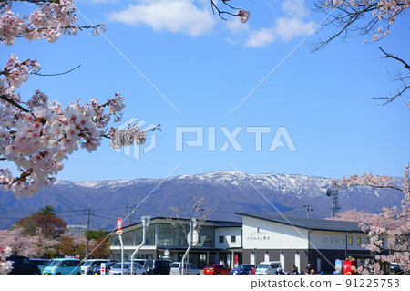 Cherry blossoms in full bloom Roadside station Kawano Minato Nagai Cherry blossoms in full bloom Roadside station Kawano Minato Nagai 91225753