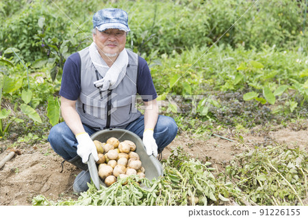 Men who make vegetables Home garden, vegetable making, potato digging 91226155