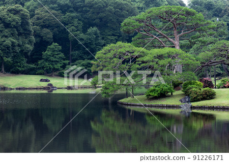 日本花園在一個雨天六月六義園 日本花園在一個雨天六月六義園 91226171