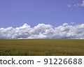 麥田和藍天 91226688
