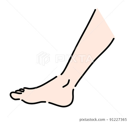 小腿/腳插圖 91227365