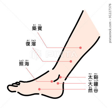 小腿和足部穴位 91227376